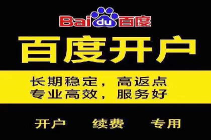 案例分析：百度竞价广告投放技巧